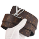 Silver Logo Brown Belt